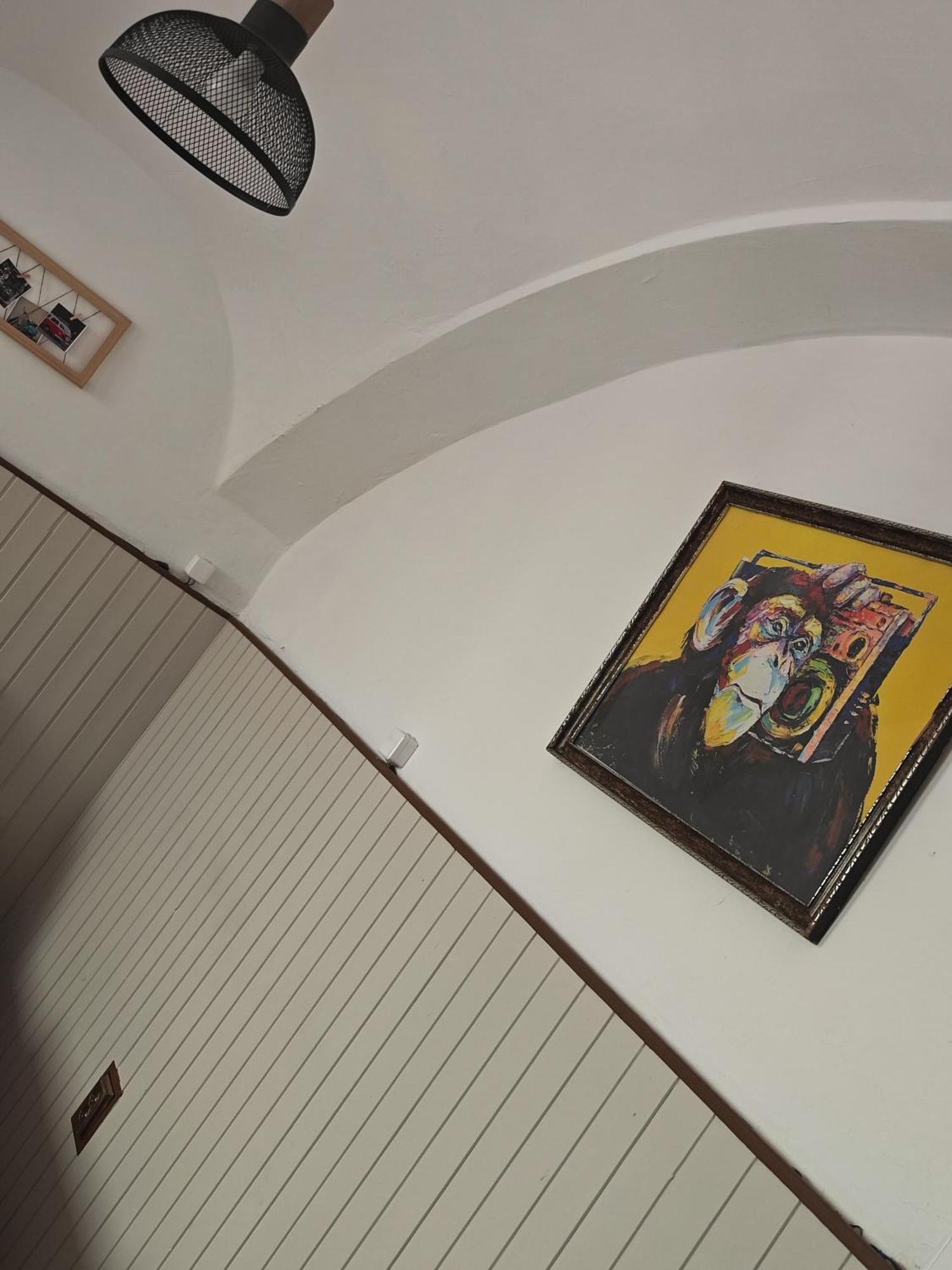 Vintage Room With Garden View Bratislava Extérieur photo
