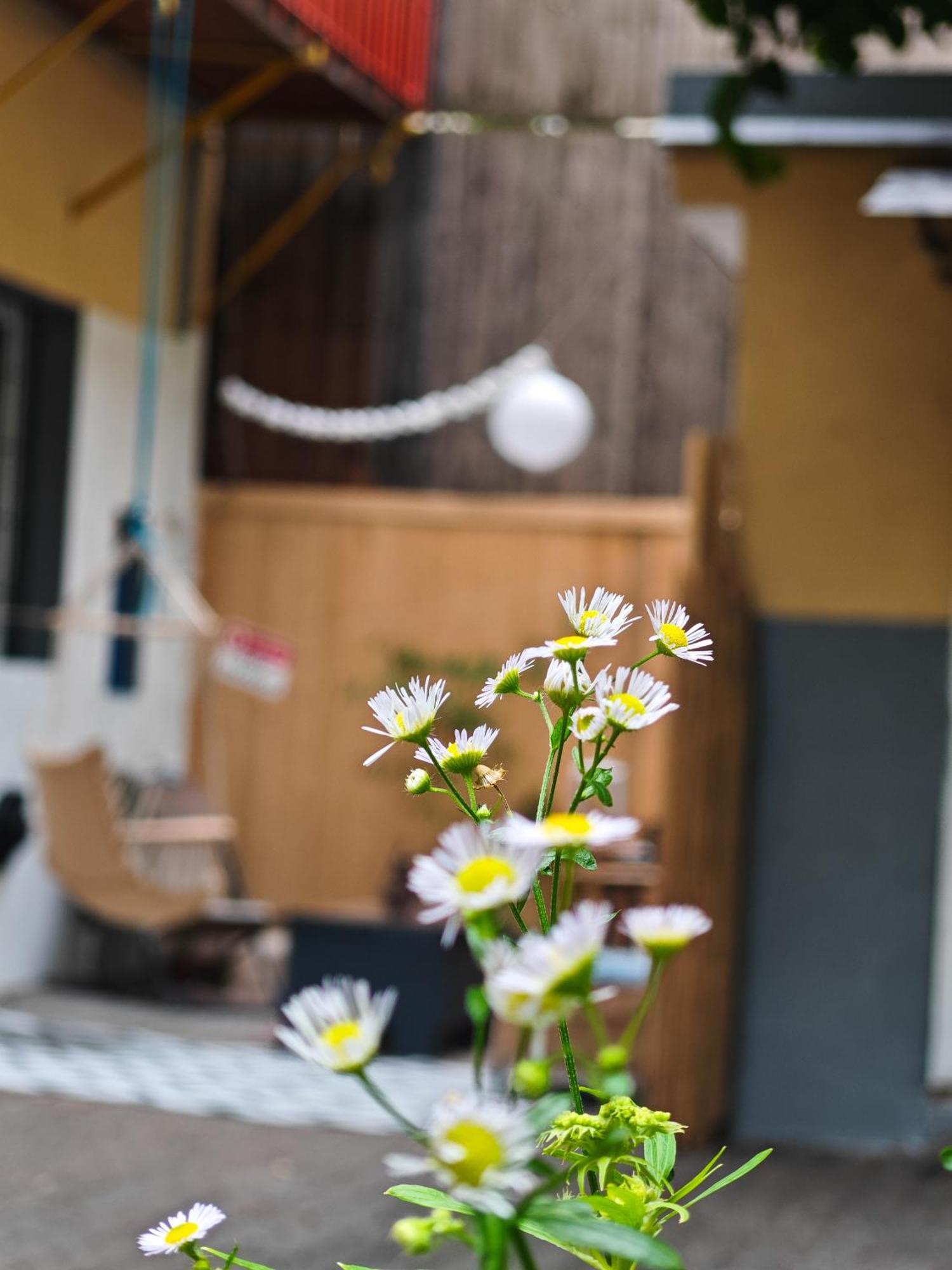 Vintage Room With Garden View Bratislava Extérieur photo