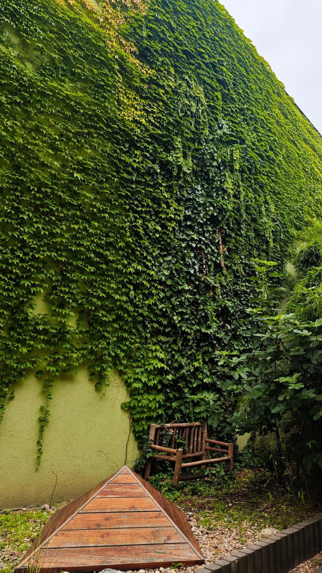 Vintage Room With Garden View Bratislava Extérieur photo